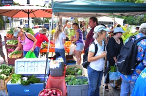 Wilson's fresh foods market brings organic food to the Florida Keys, and hosts weekly farmers markets that make fresh produce available to people who want to "help themselves" at home